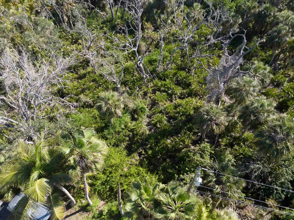 13371 Almond Drive Fort Myers FL 33908