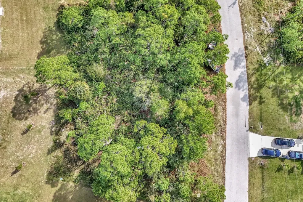 867 Youngreen Drive Fort Myers FL 33913