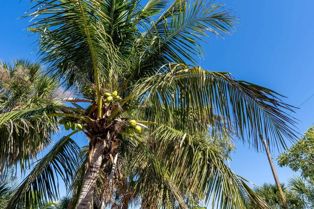 5801 Sanibel Captiva Road Sanibel FL 33957