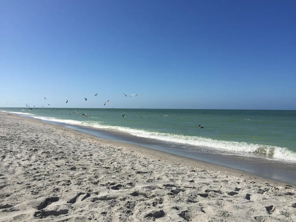 785 Birdie View Point Sanibel FL 33957