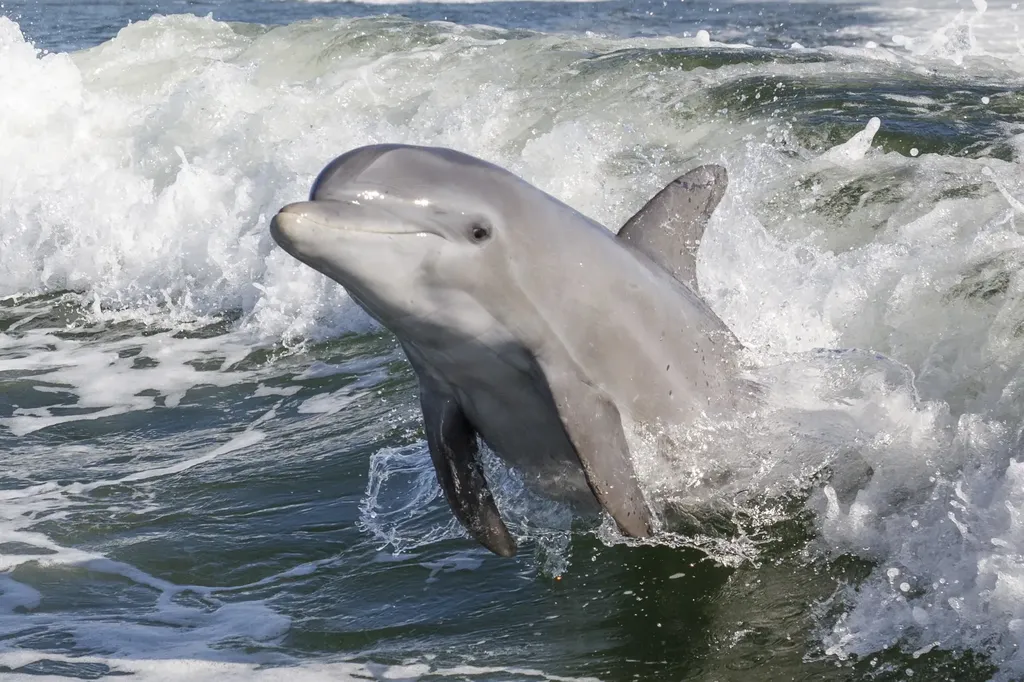 15160 Captiva Drive Captiva FL 33924