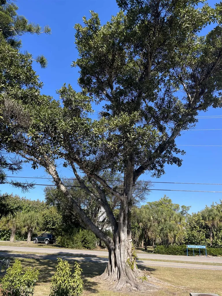 601 Periwinkle Way Sanibel FL 33957