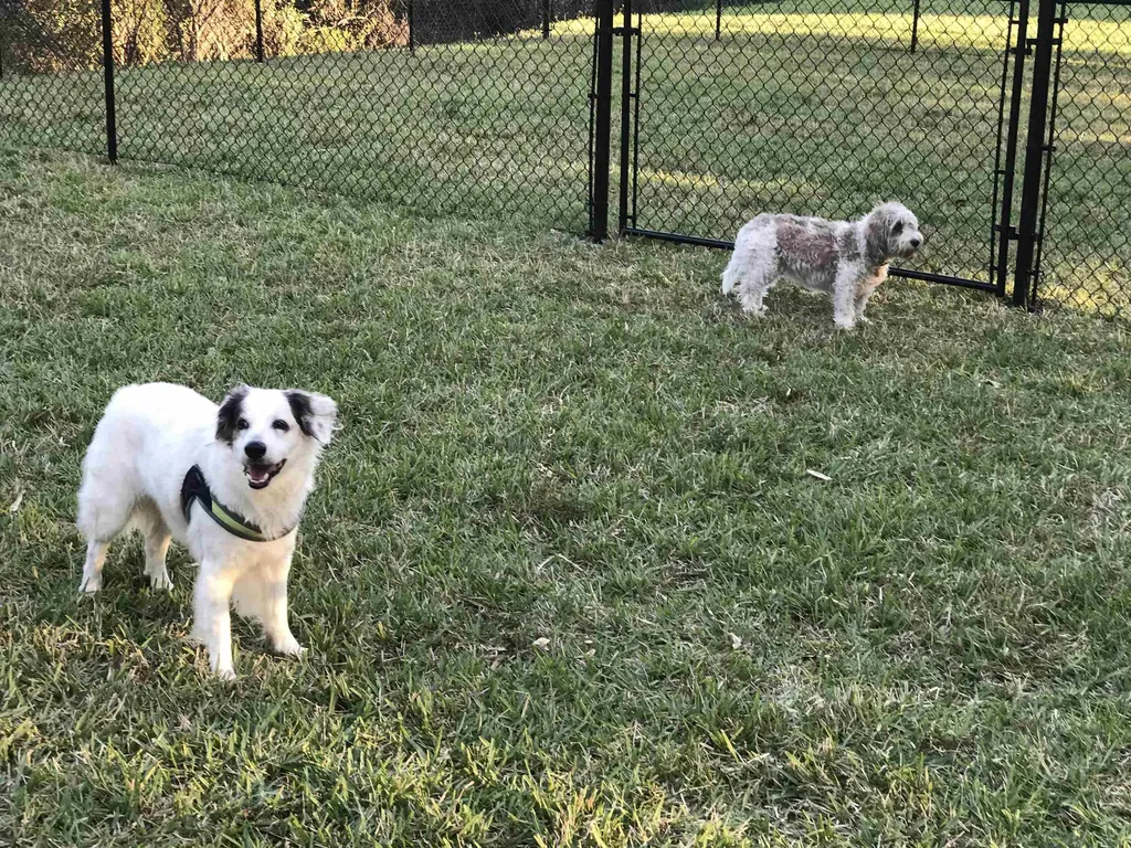 12701 Mastique Beach Boulevard Fort Myers FL 33908