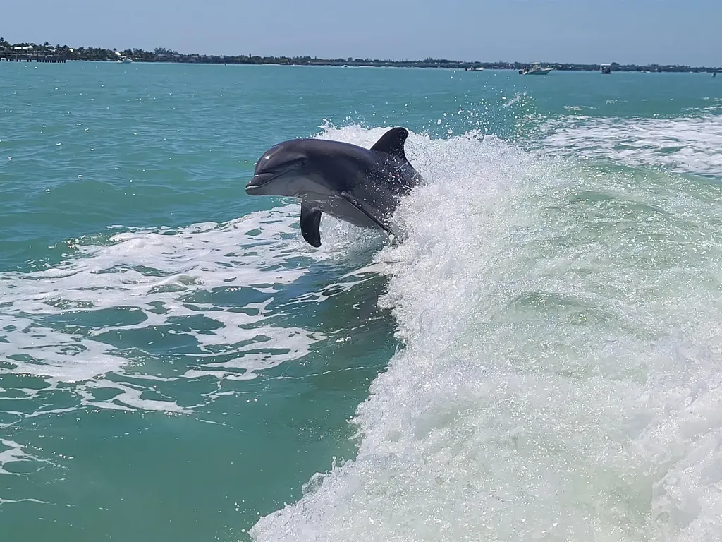 737 Vinca Way Sanibel FL 33957