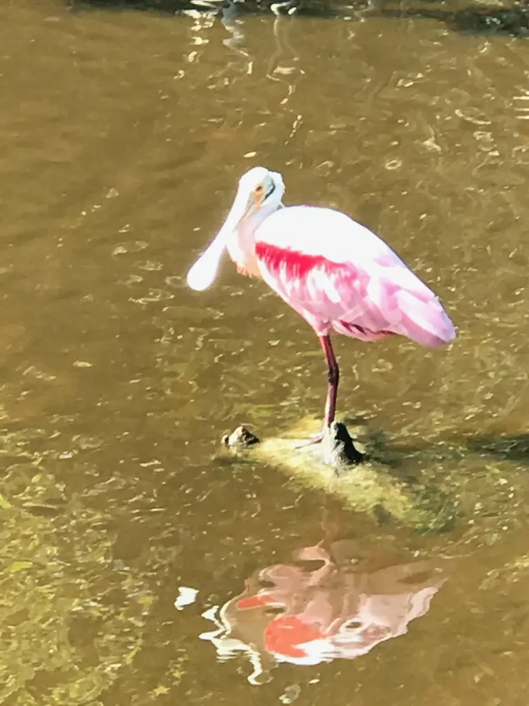 2549 W Gulf Drive Sanibel FL 33957