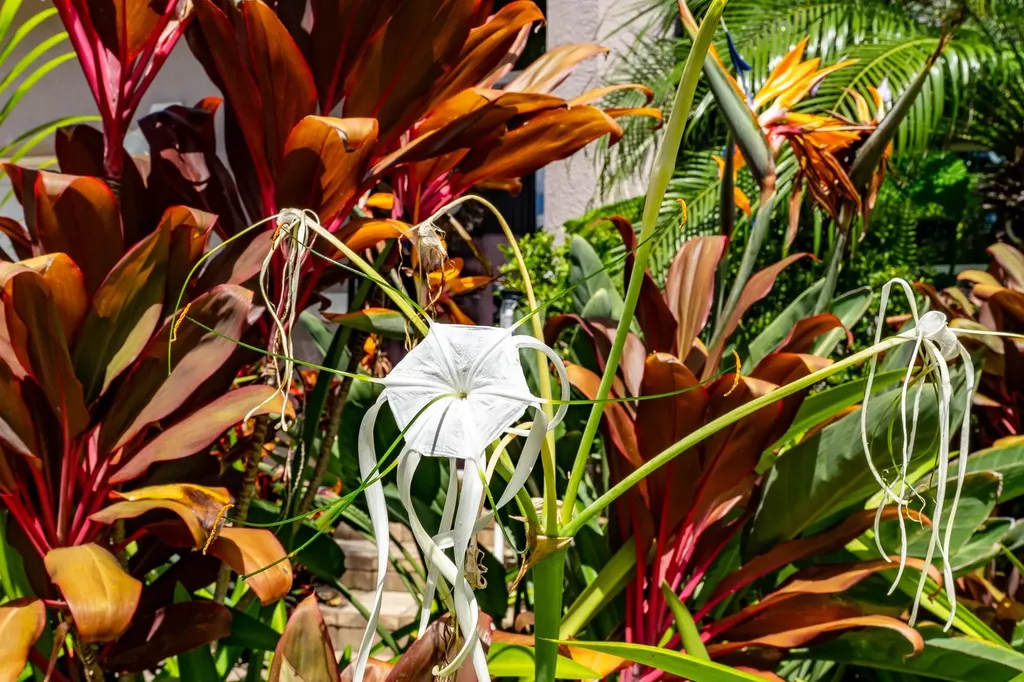 14380 Hampton Lake Court Fort Myers FL 33908