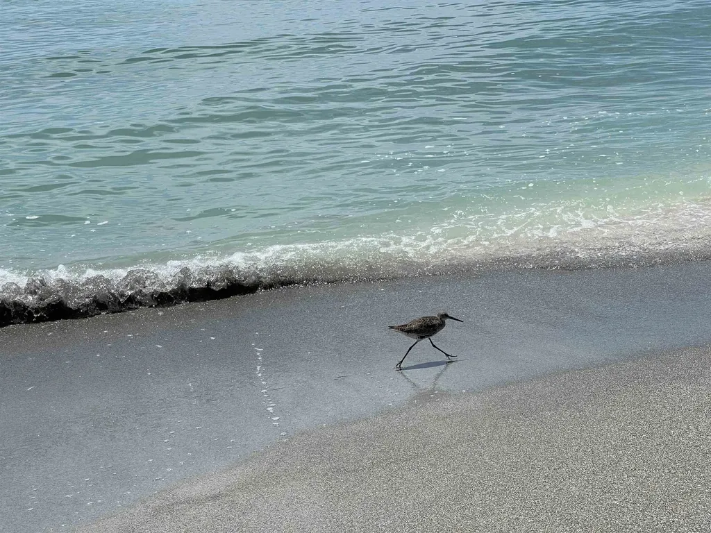 2623 Beach Villas Captiva FL 33924