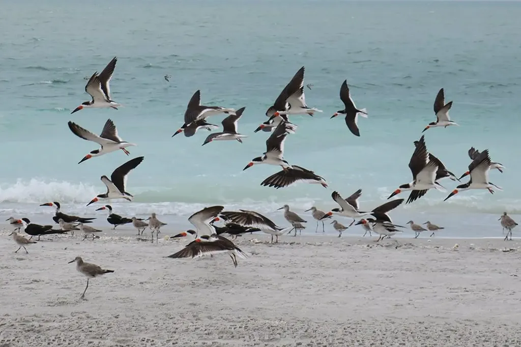 5120 Bayside Villas Captiva FL 33924