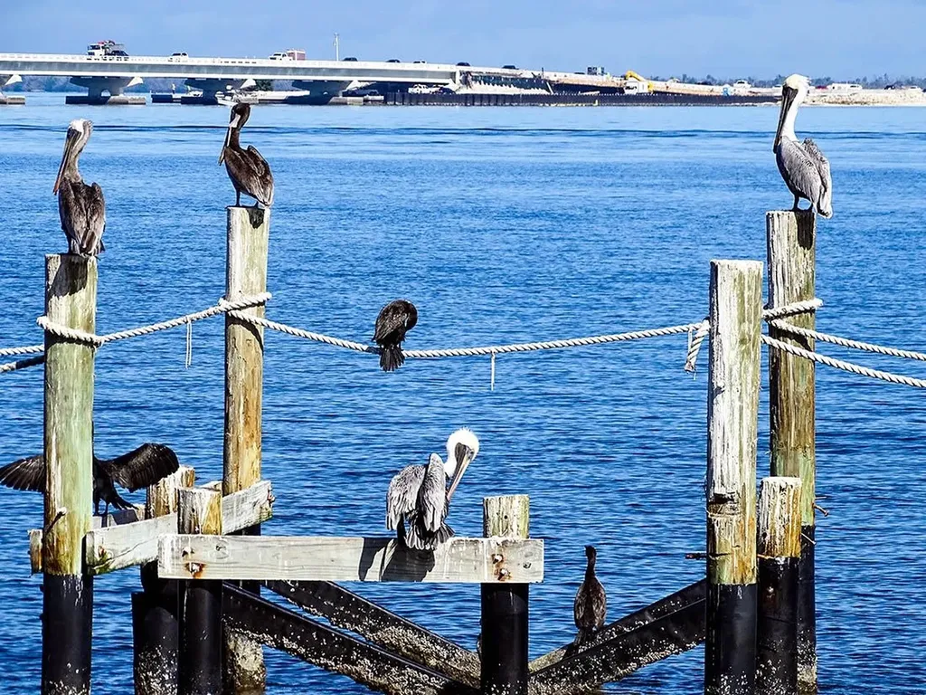 760 Sextant Drive Sanibel FL 33957