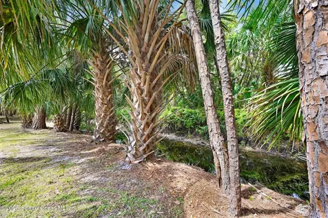 7230 Mourning Dove Court Titusville FL 32780