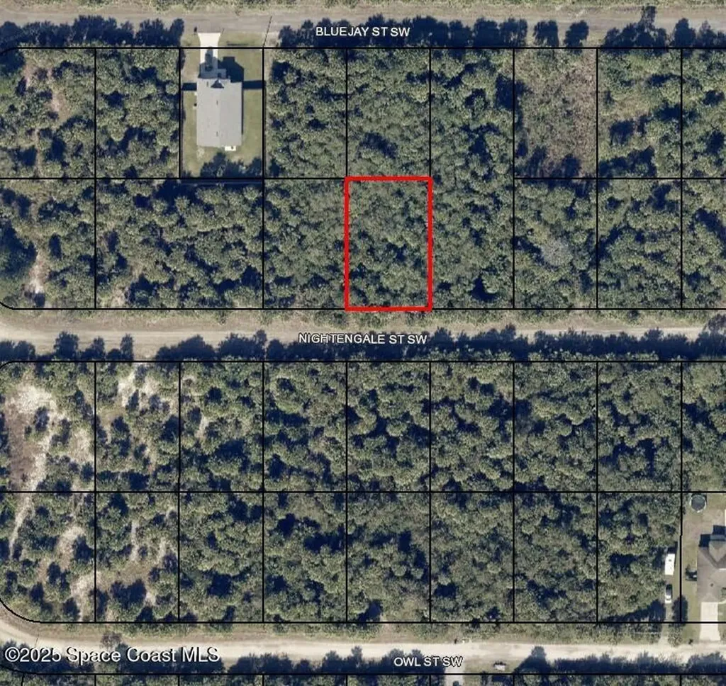 863 Nightengale Street SW Palm Bay FL 32908