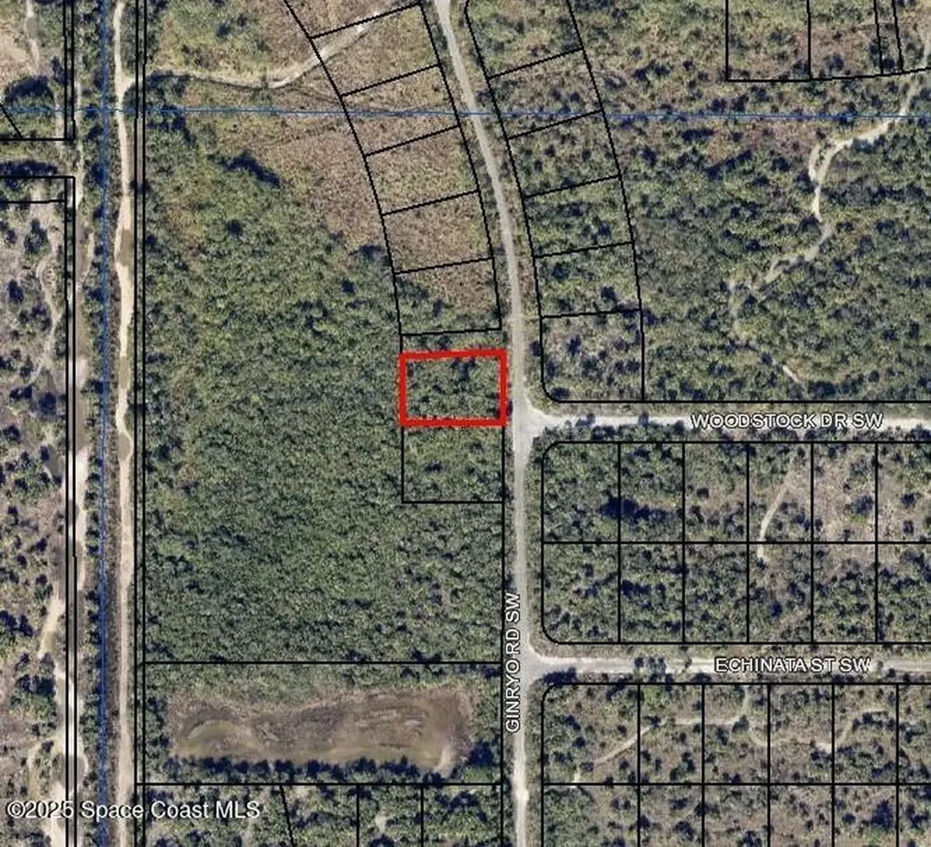 2898 Ginryo Road SW Palm Bay FL 32908