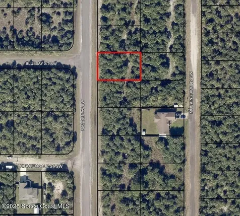 3313 Madden Avenue SW Palm Bay FL 32908