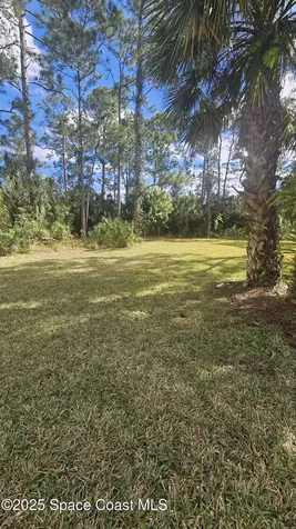 1876 Winding Ridge Circle SE Palm Bay FL 32909
