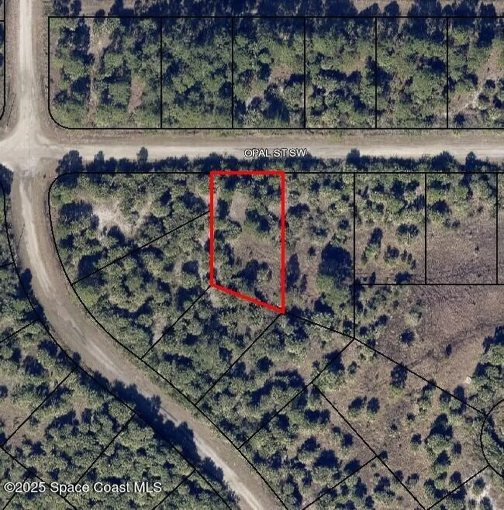 768 Opal Street SW Palm Bay FL 32908