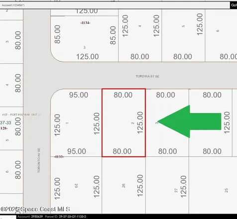 1306 Tordira Street SE Palm Bay FL 32909