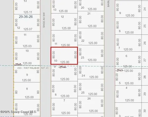 2843 Sage Avenue SW Palm Bay FL 32908