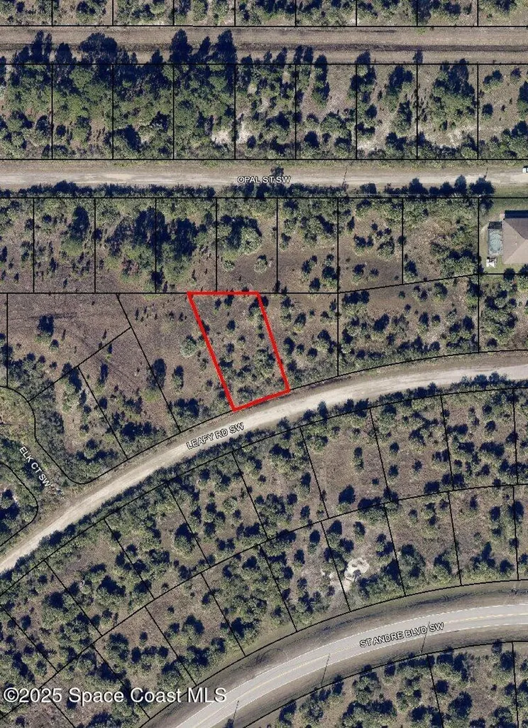 669 Leafy Road SW Palm Bay FL 32908