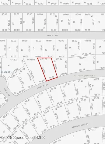 669 Leafy Road SW Palm Bay FL 32908