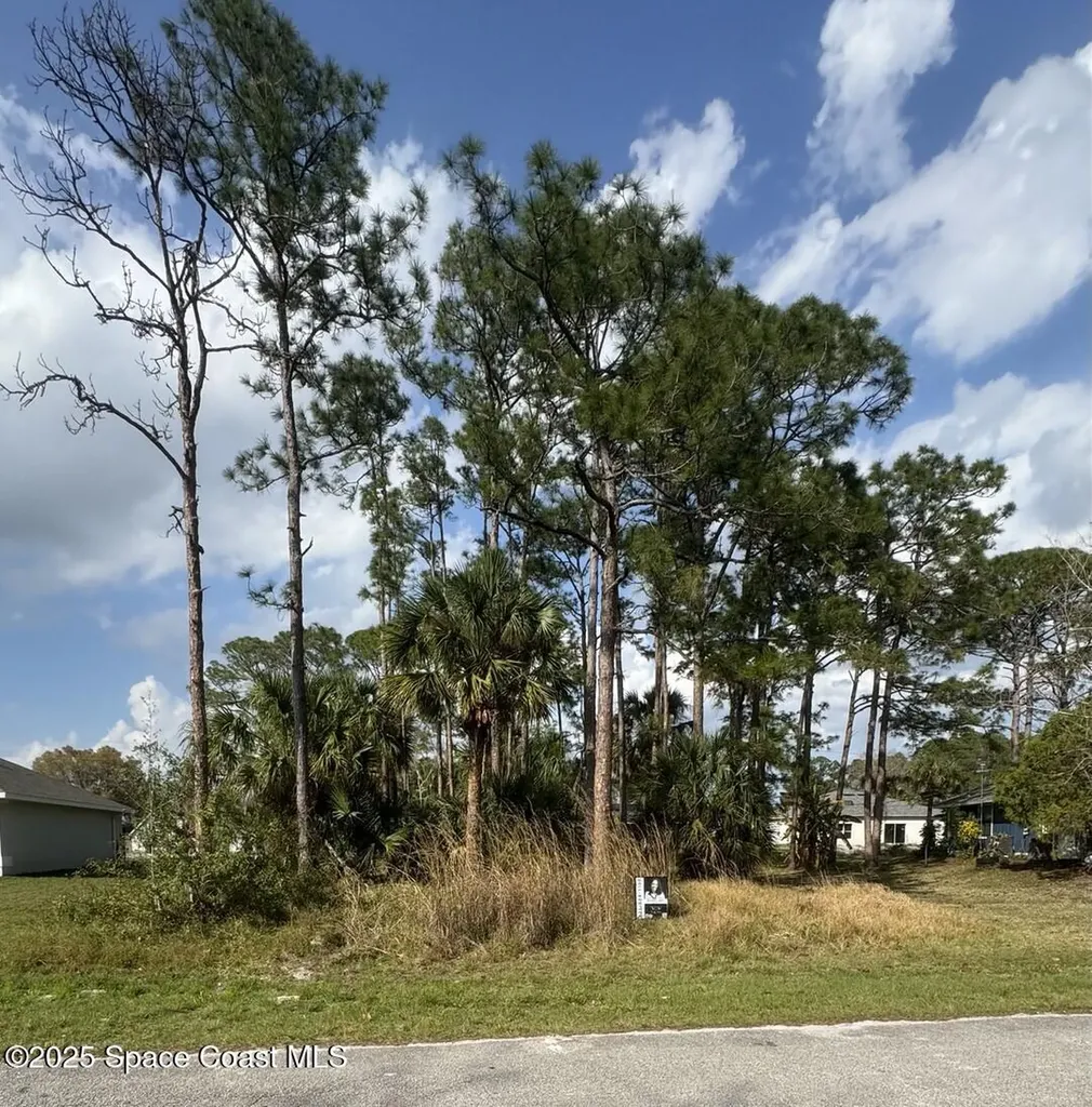 443 Wayland Road SW Palm Bay FL 32908