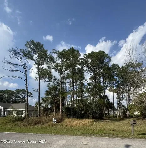 443 Wayland Road SW Palm Bay FL 32908