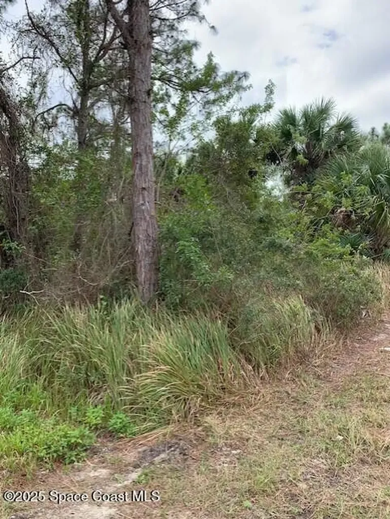 1158 Satin Road SW Palm Bay FL 32908