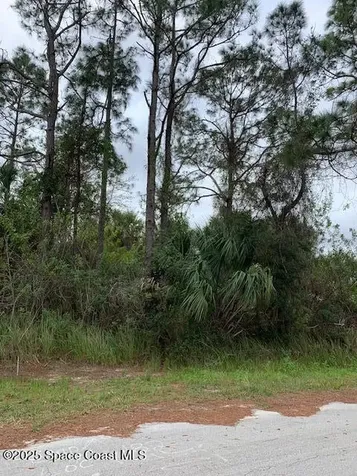 1158 Satin Road SW Palm Bay FL 32908