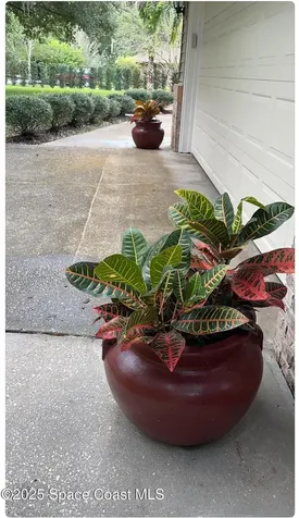 4200 Tangelo Avenue Cocoa FL 32926