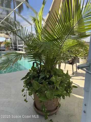 218 Via De La Reina Merritt Island FL 32953