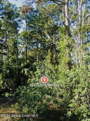 462 Sayre Road SW Palm Bay FL 32908