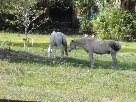 718 Sara Jane Lane Merritt Island FL 32952