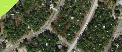 9539 N Wayland Avenue Citrus Springs FL 34434