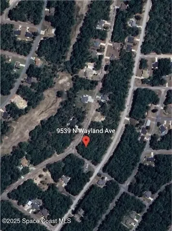 9539 N Wayland Avenue Citrus Springs FL 34434
