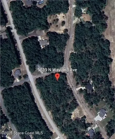 9539 N Wayland Avenue Citrus Springs FL 34434