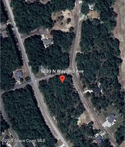 9539 N Wayland Avenue Citrus Springs FL 34434