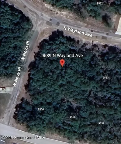 9539 N Wayland Avenue Citrus Springs FL 34434