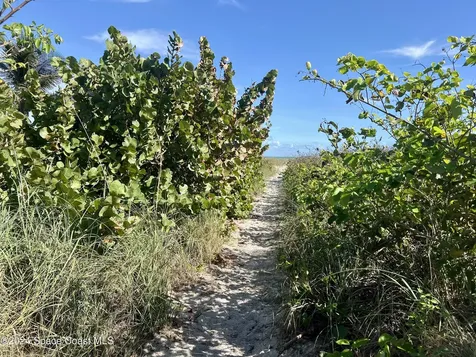 22 Tulip Avenue Cocoa Beach FL 32931