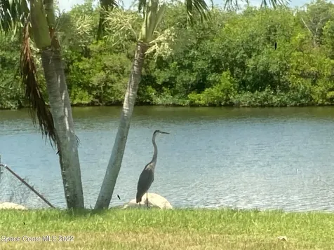 102 La Riviere Road Cocoa Beach FL 32931