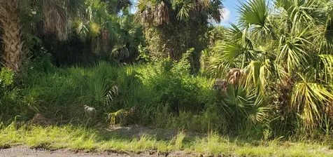 834 Sailboat Street SW Palm Bay FL 32908
