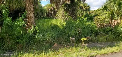 834 Sailboat Street SW Palm Bay FL 32908