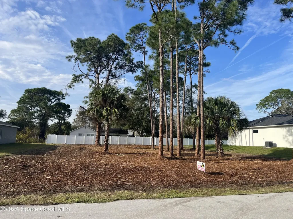 1141 Tiger Street SE Palm Bay FL 32909