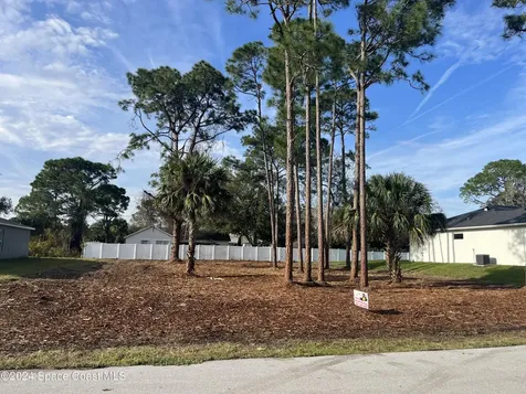 1141 Tiger Street SE Palm Bay FL 32909