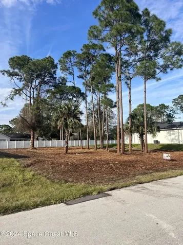 1141 Tiger Street SE Palm Bay FL 32909
