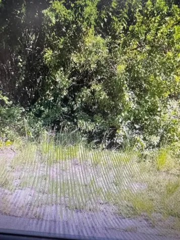 380 Warwick Street SE Palm Bay FL 32909