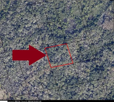 00000 No Access W Of Meadows Green Road Mims FL 32754