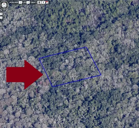00000 No Access W Of Meadows Green Road Mims FL 32754