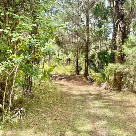 6776 Keydeer Avenue Cocoa FL 32926