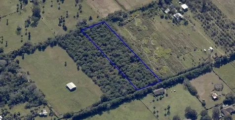 3459 Grandperrin Road Mims FL 32754