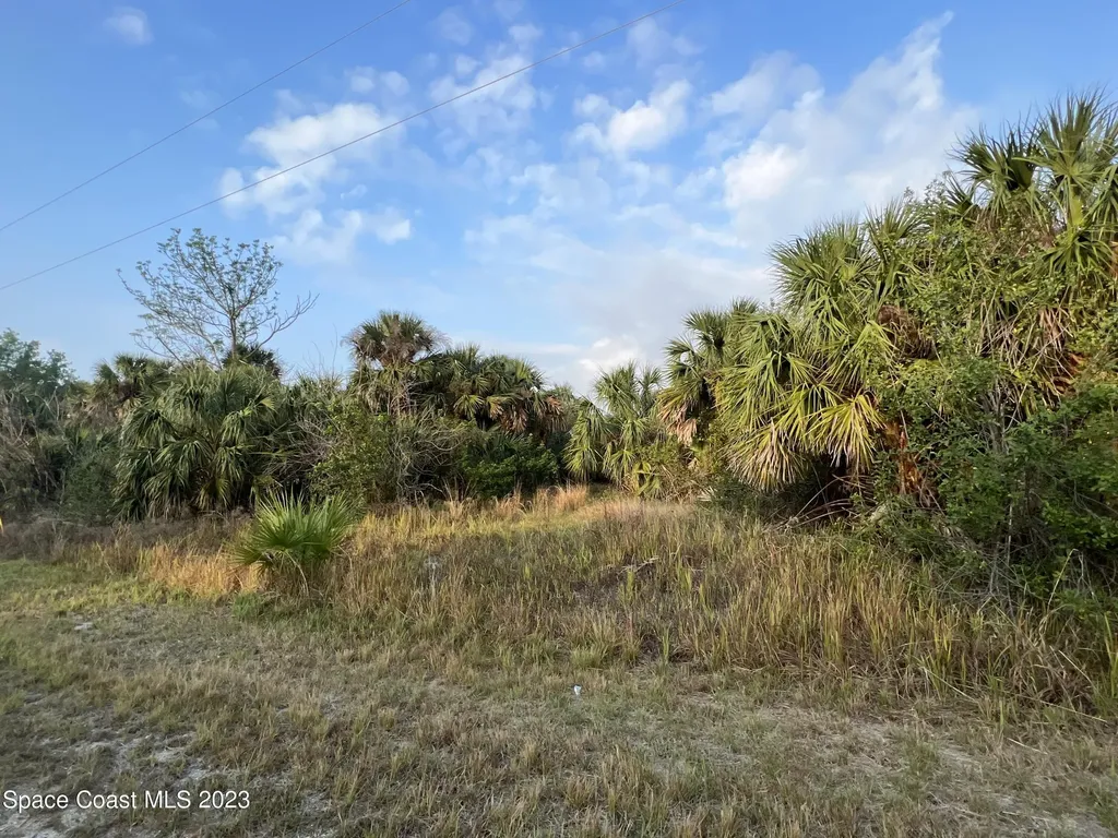 2044 Alwar Avenue Palm Bay FL 32908