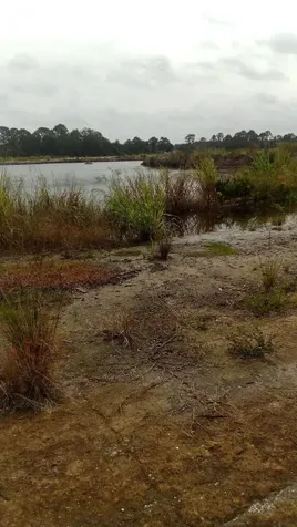 4834 Highway 46 Mims FL 32754